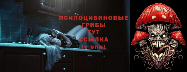 Альфа ПВП Пролетарск