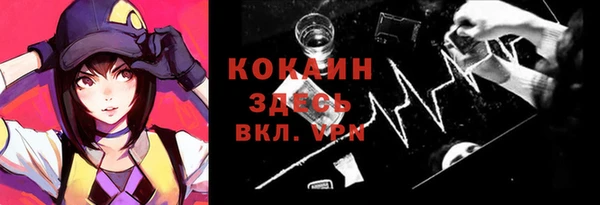 молекула духа Приозерск