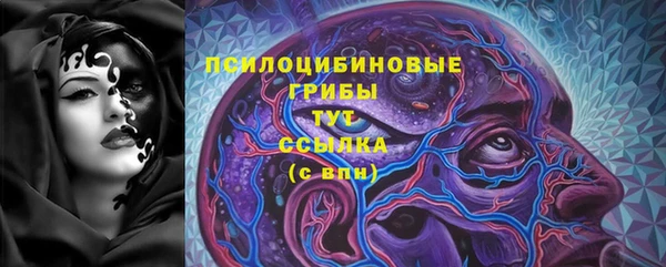 Альфа ПВП Пролетарск