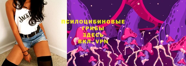 молекула духа Приозерск