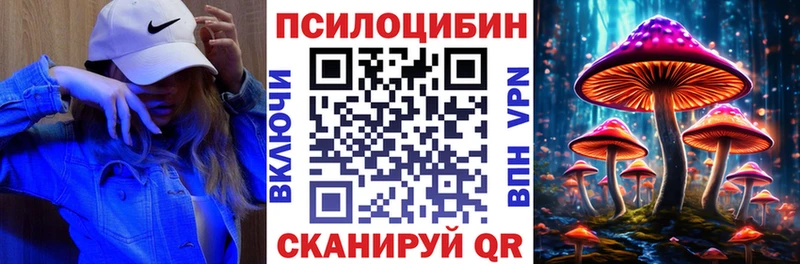Галлюциногенные грибы Psilocybine cubensis  магазин  наркотиков  Среднеколымск 